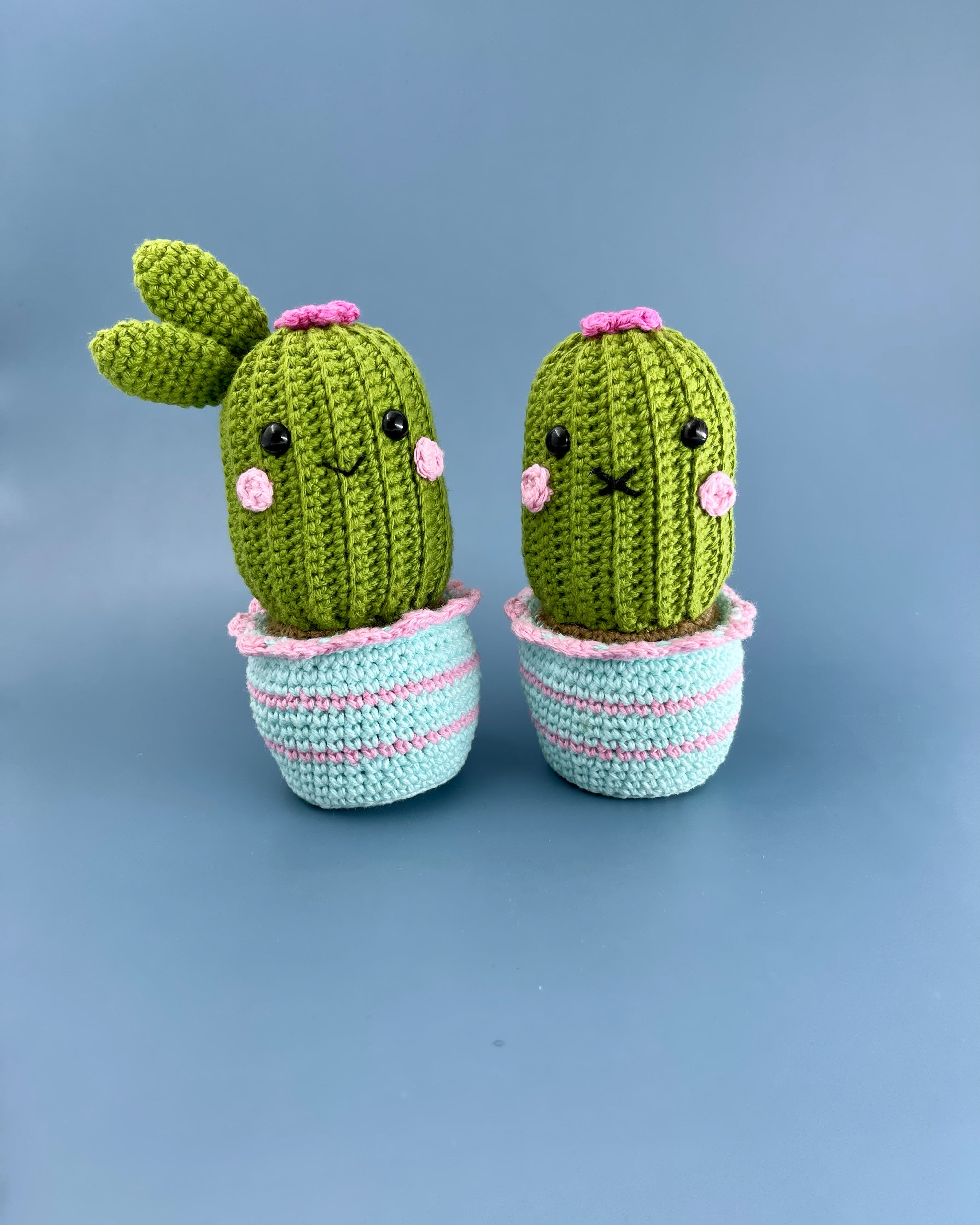 Mrs and Mr Cacti the cactus couple