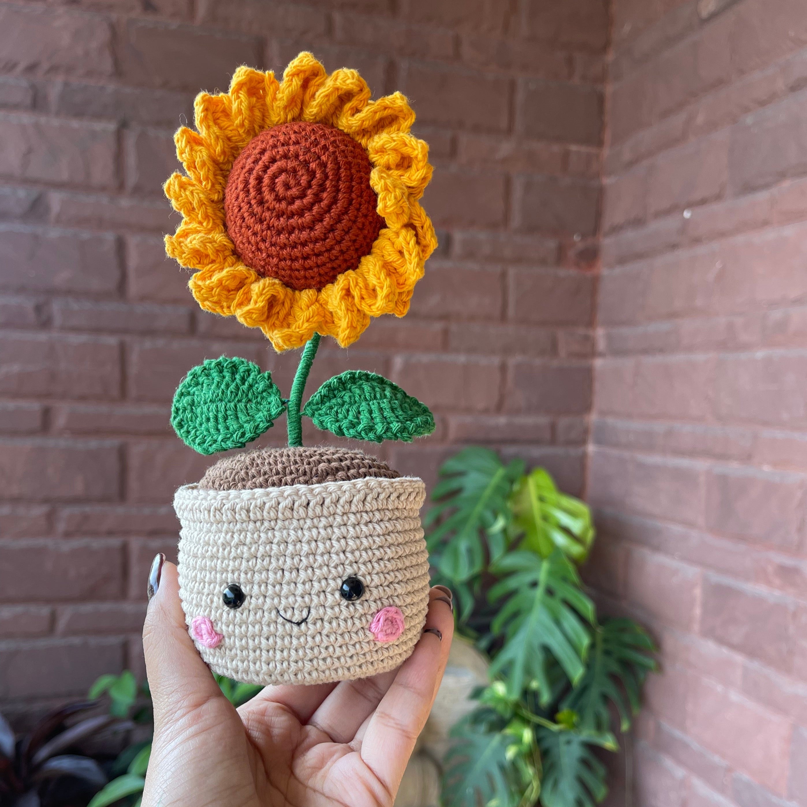 Sunflower with Pot