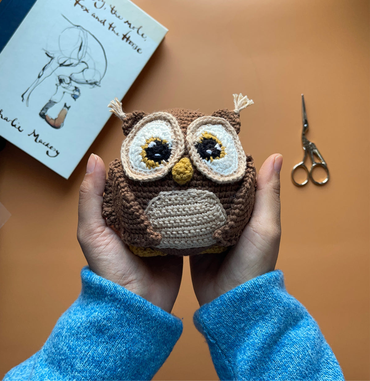 Crochet Token Crochet Owl